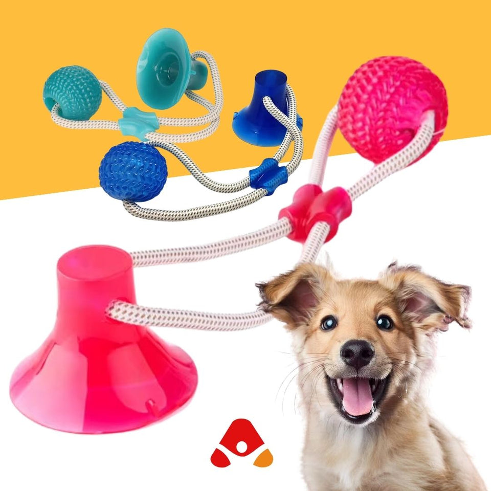 PELOTA MORDEDORA CON BASE / DOG