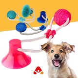 PELOTA MORDEDORA CON BASE / DOG